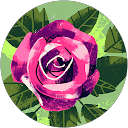 Irina profile picture