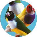 Oussama L. profile picture