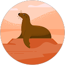 Александра Т. profile picture